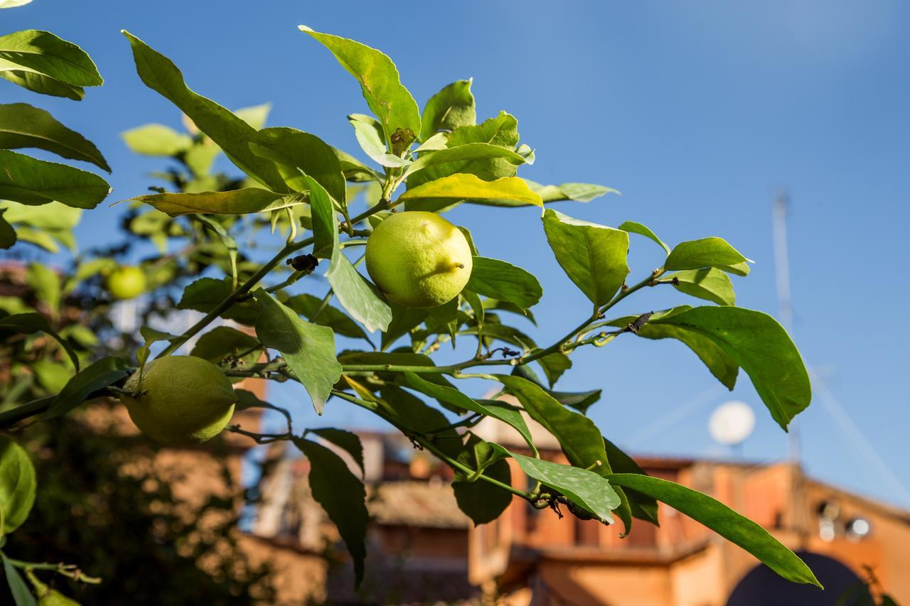 Trastevere Apartments Rome Buitenkant foto